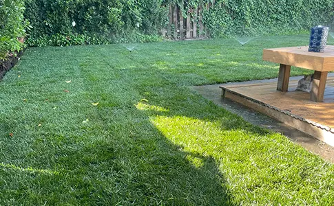 Sacramento Sod Installation