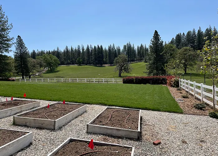 Garden Beds and Sod Installation Sacramento Area